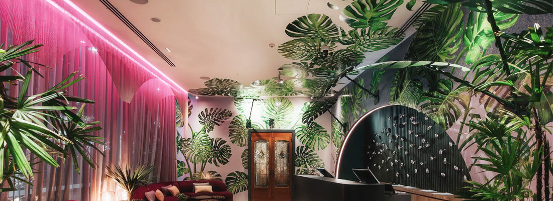 Ovolo Qld