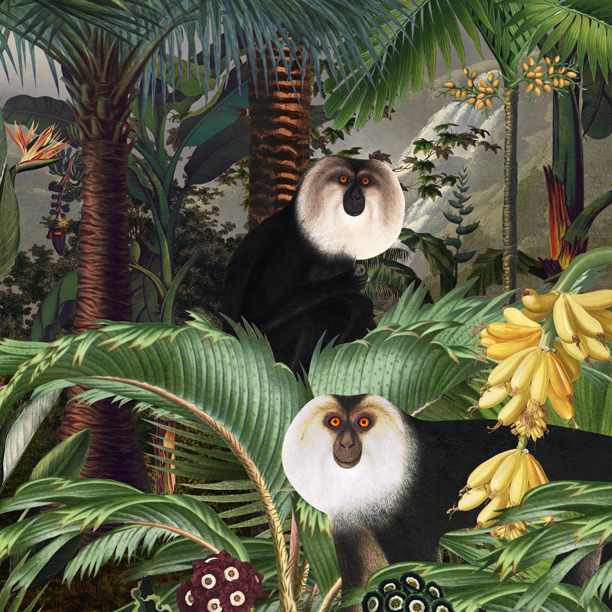 AMAZONIA