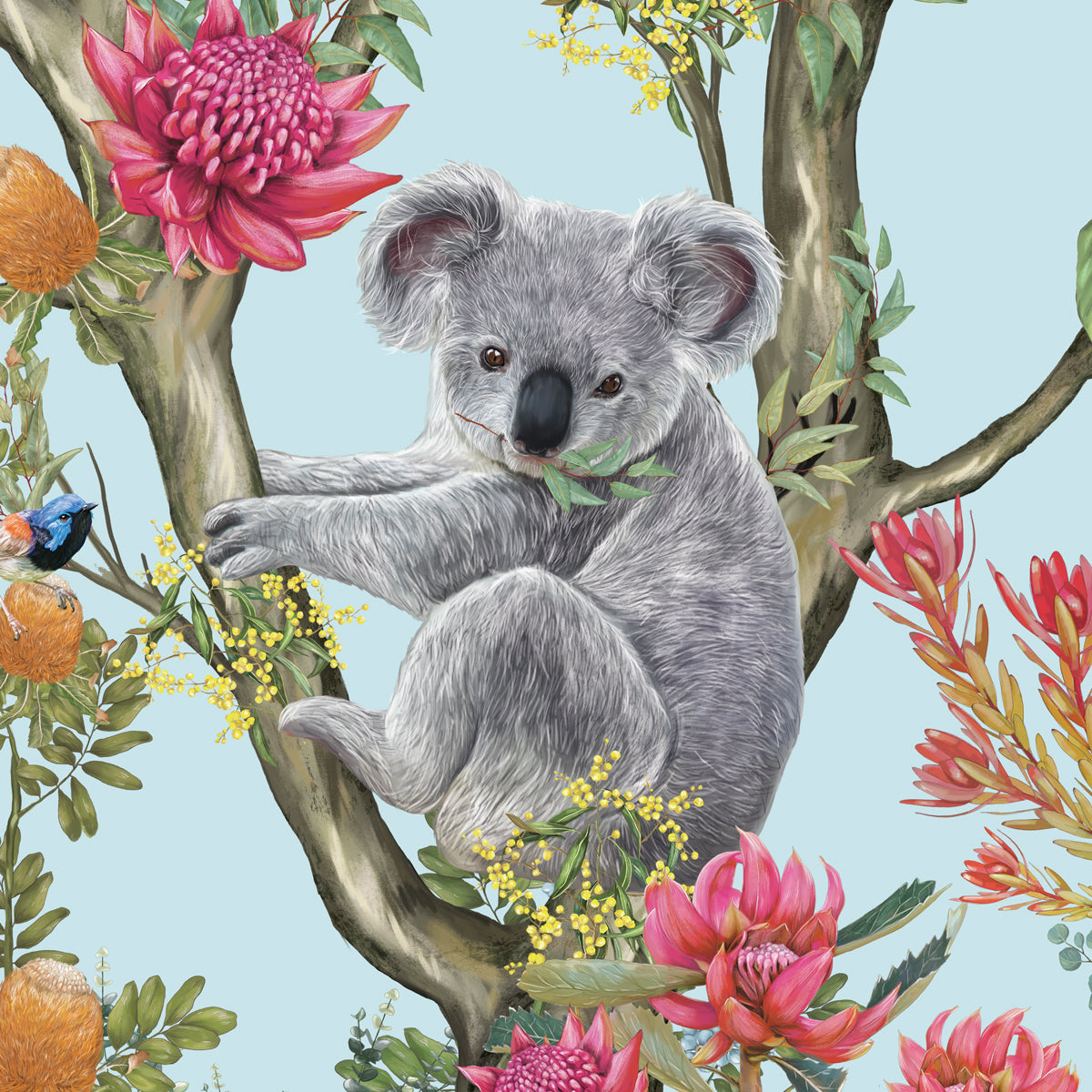 AUSTRALIA