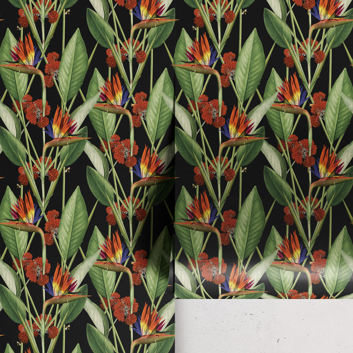 BIRDS OF PARADISE