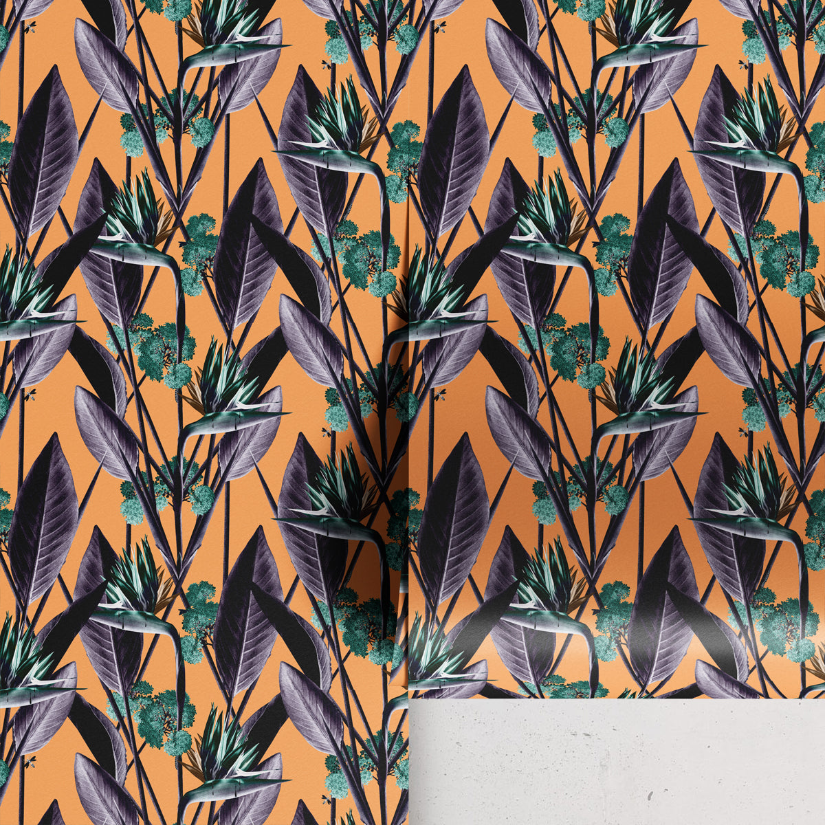 BIRDS OF PARADISE