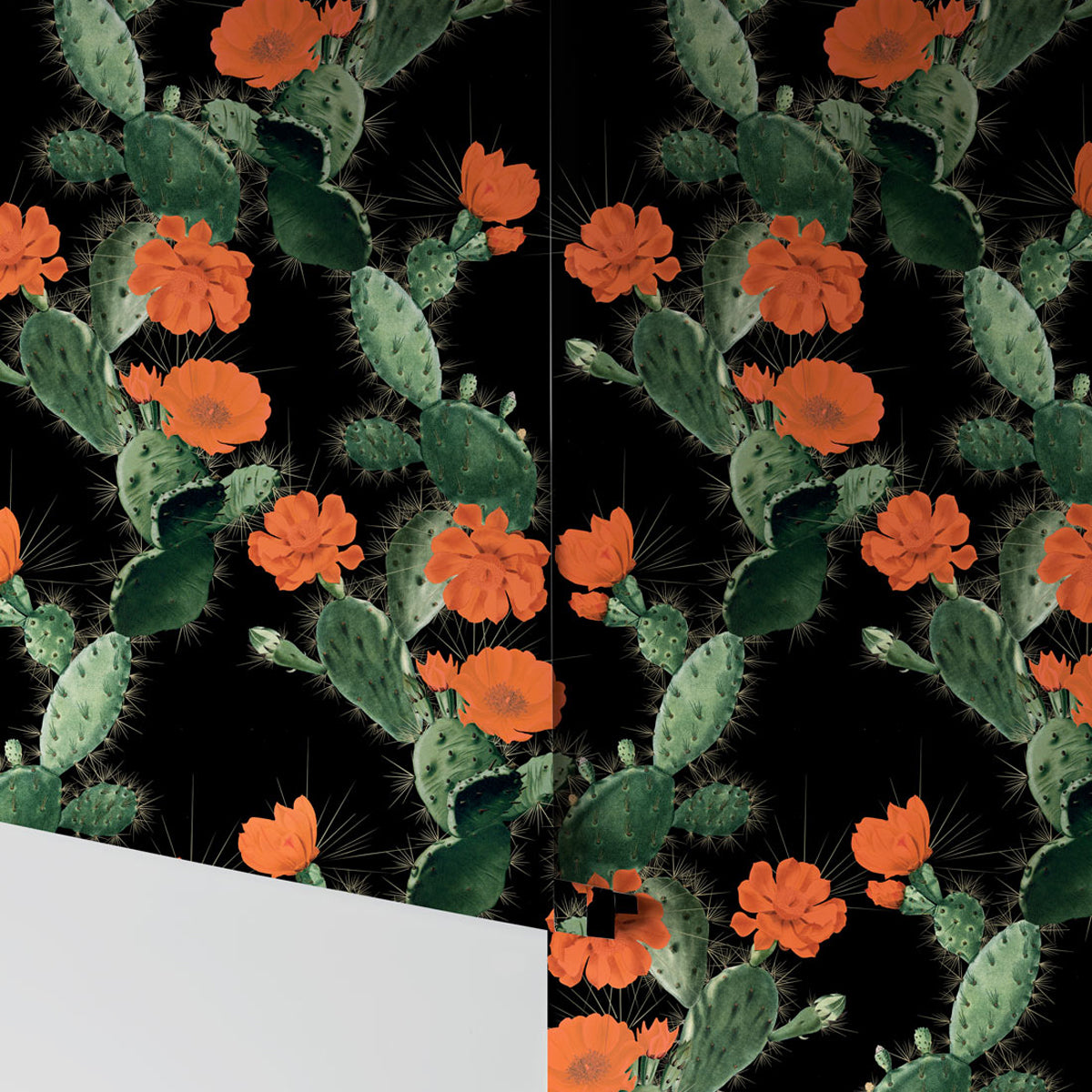 CACTUS