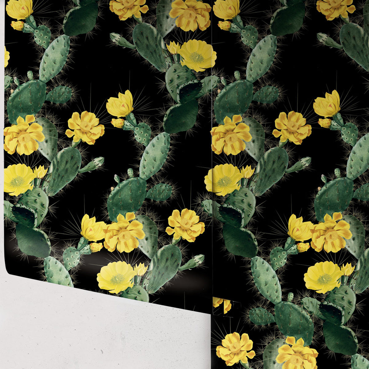 CACTUS