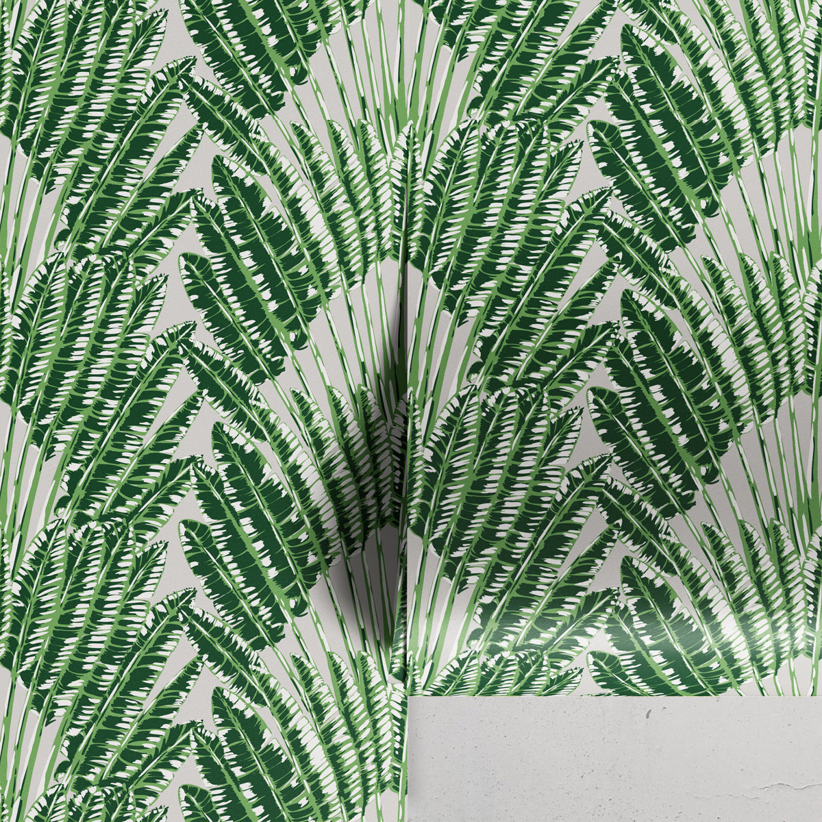 FEATHER PALM