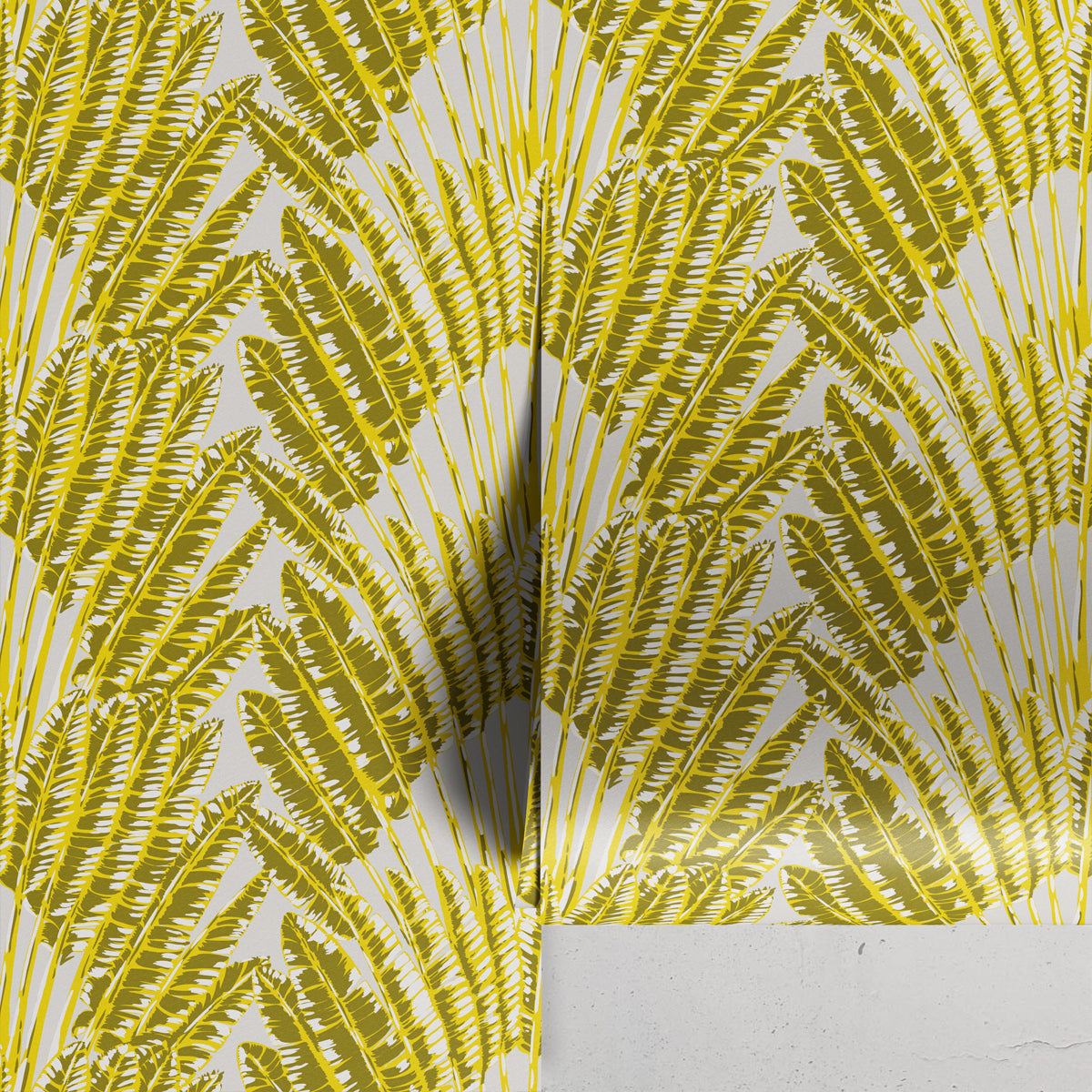 FEATHER PALM