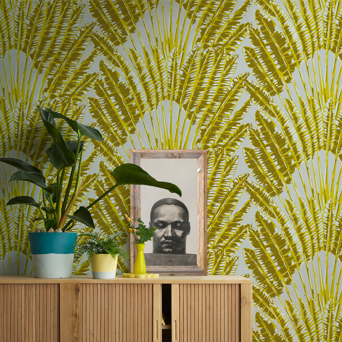 FEATHER PALM