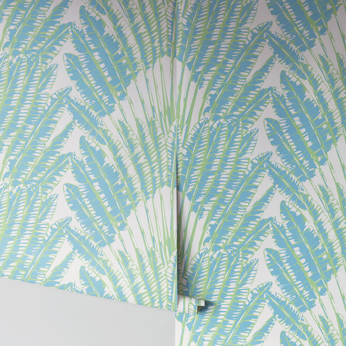 FEATHER PALM