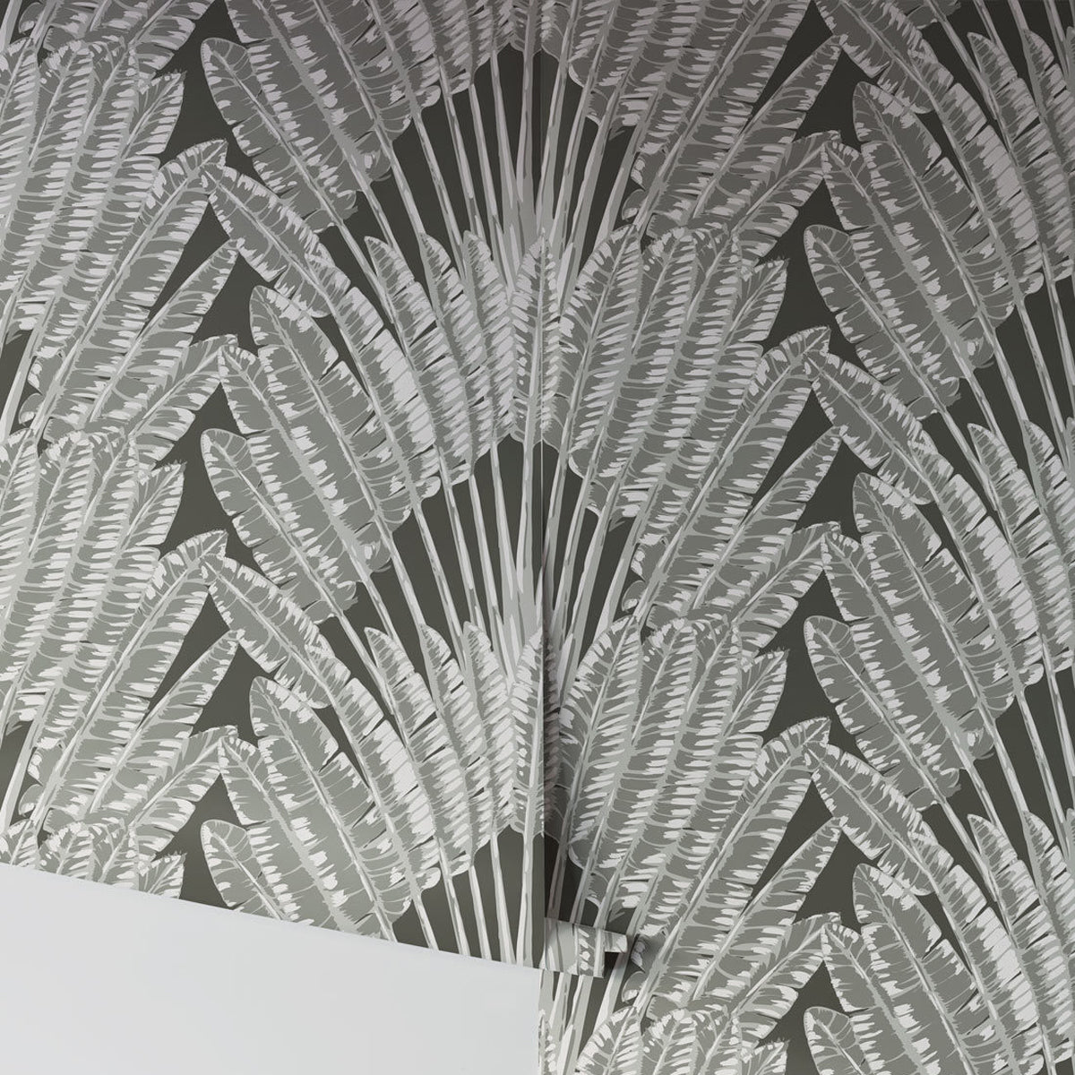 FEATHER PALM