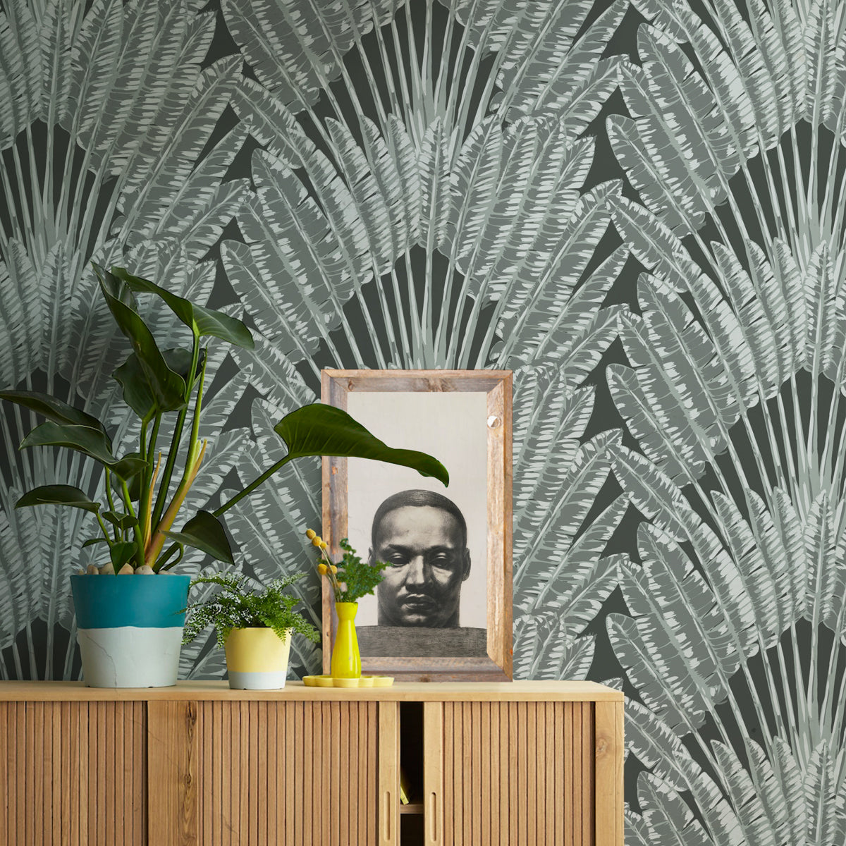 FEATHER PALM