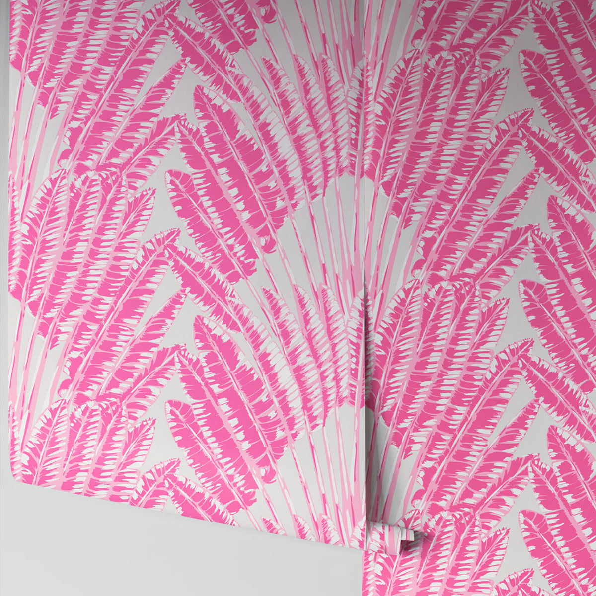 FEATHER PALM