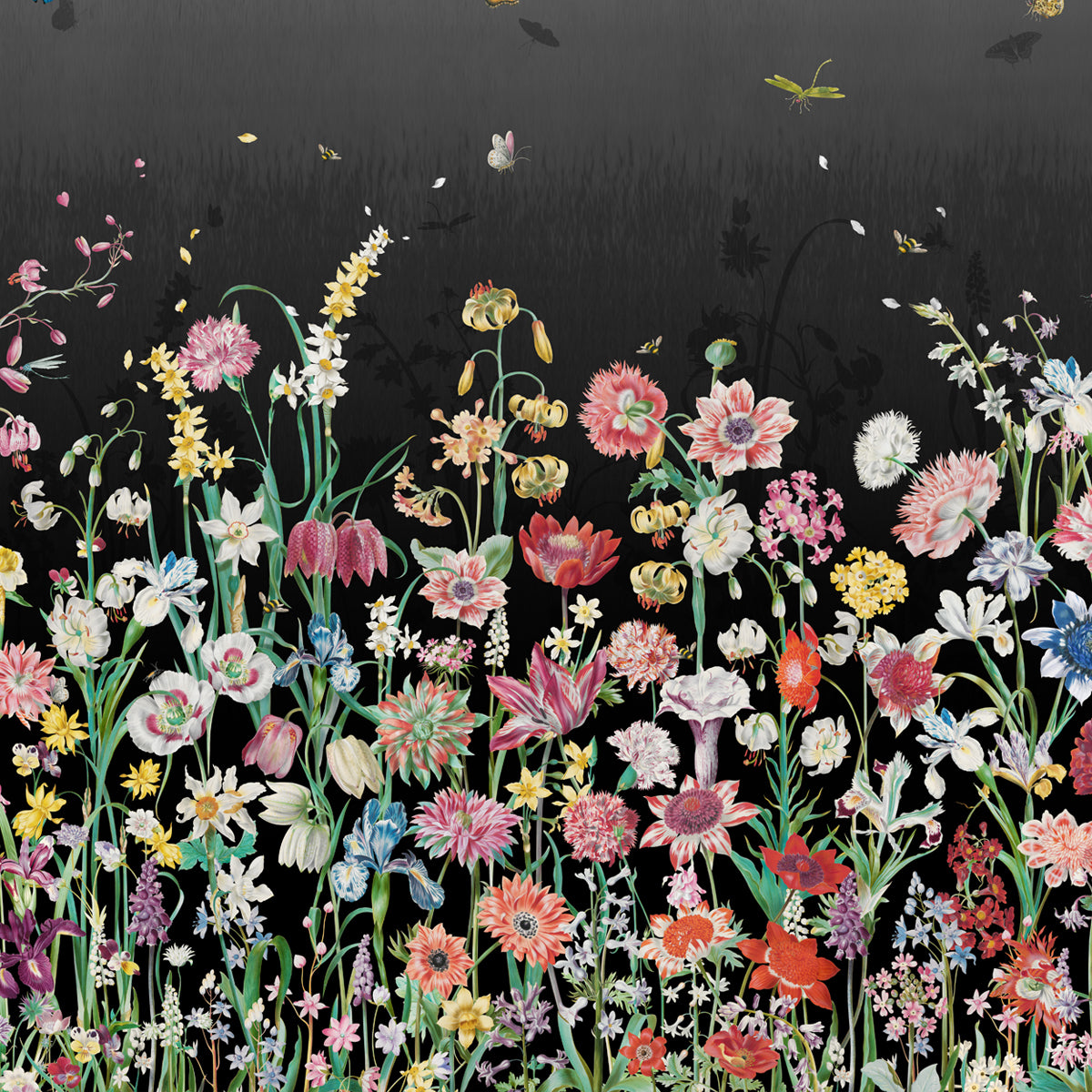 JARDIN Wallpaper