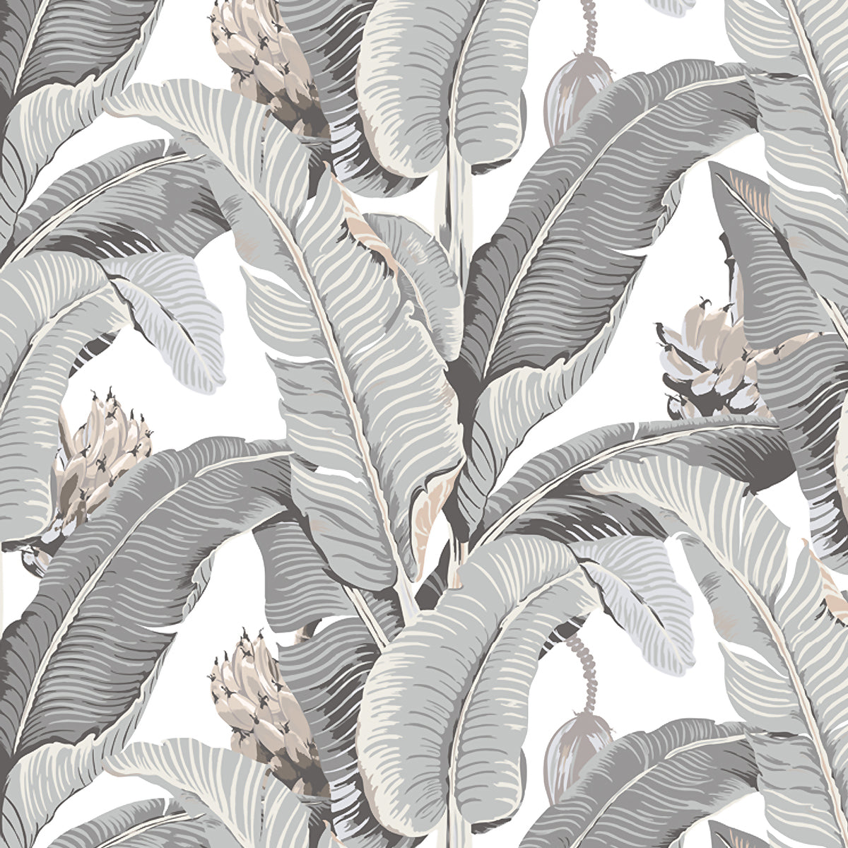 JUNGLE PALM