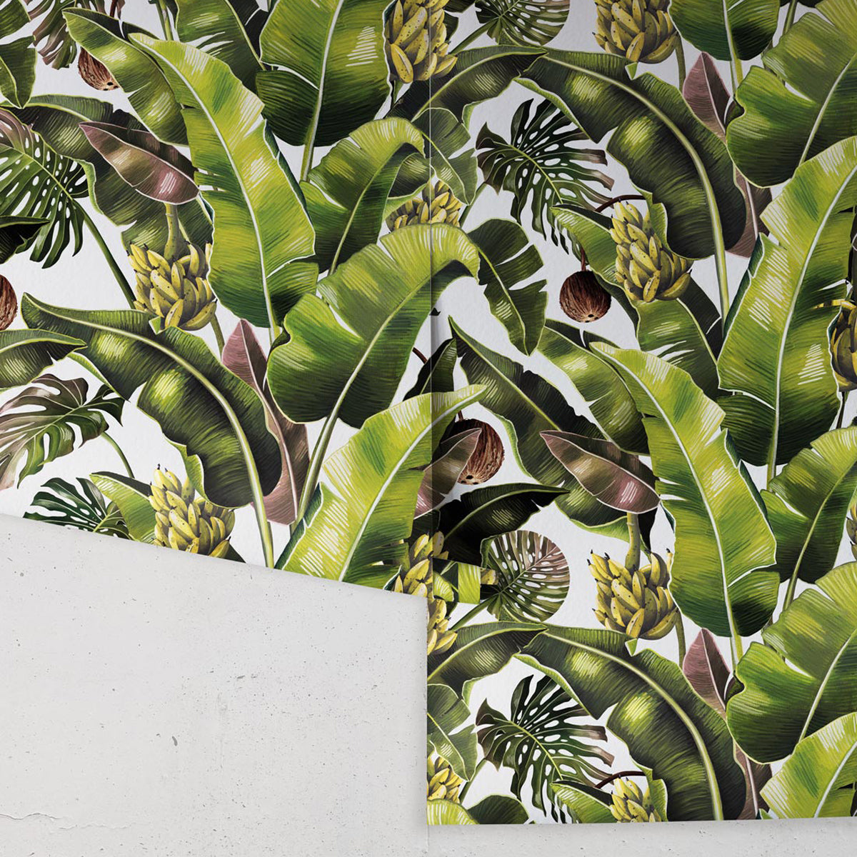 KINGDOM PALM
