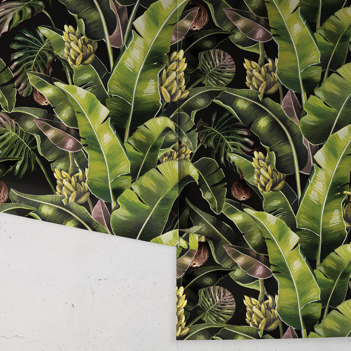 KINGDOM PALM