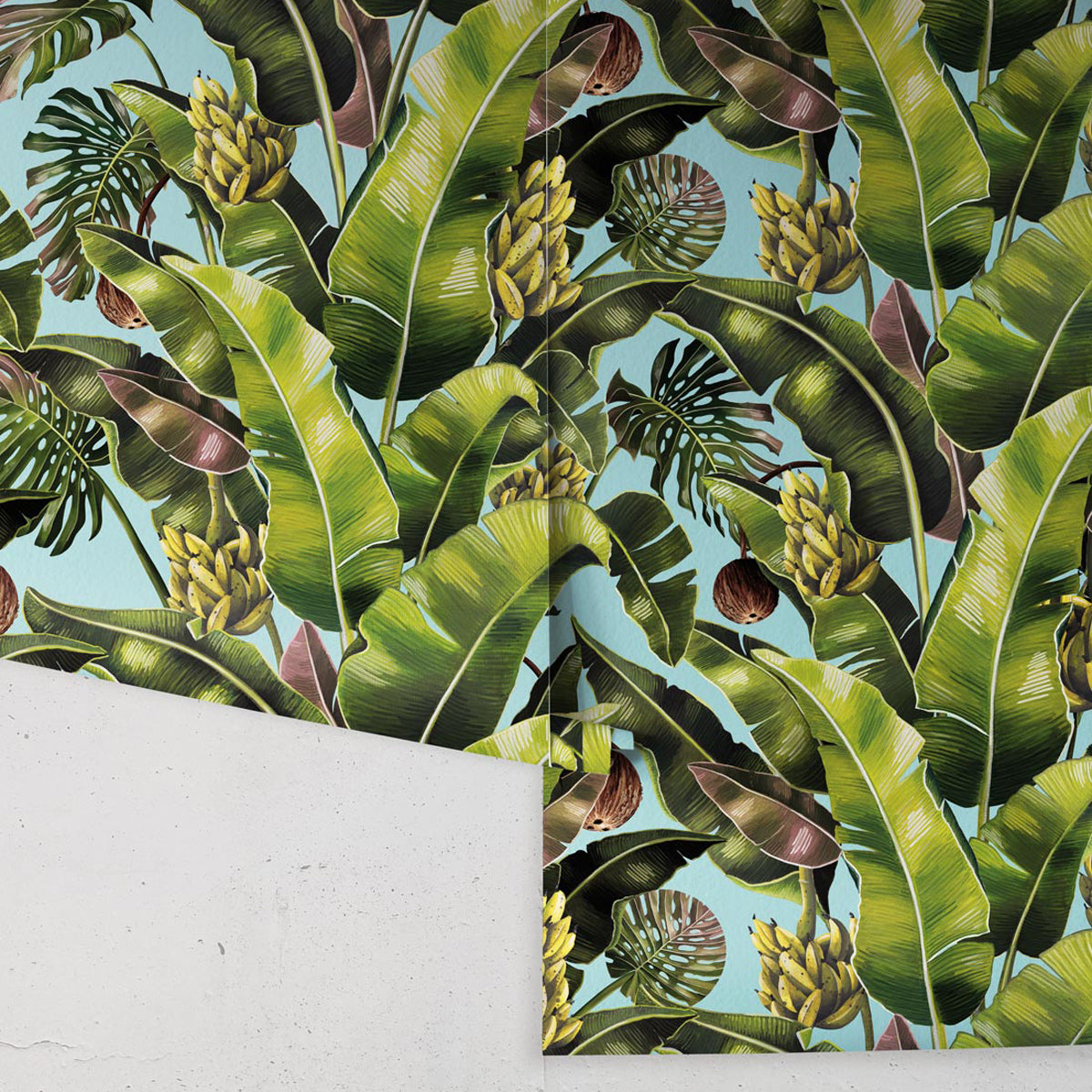 KINGDOM PALM