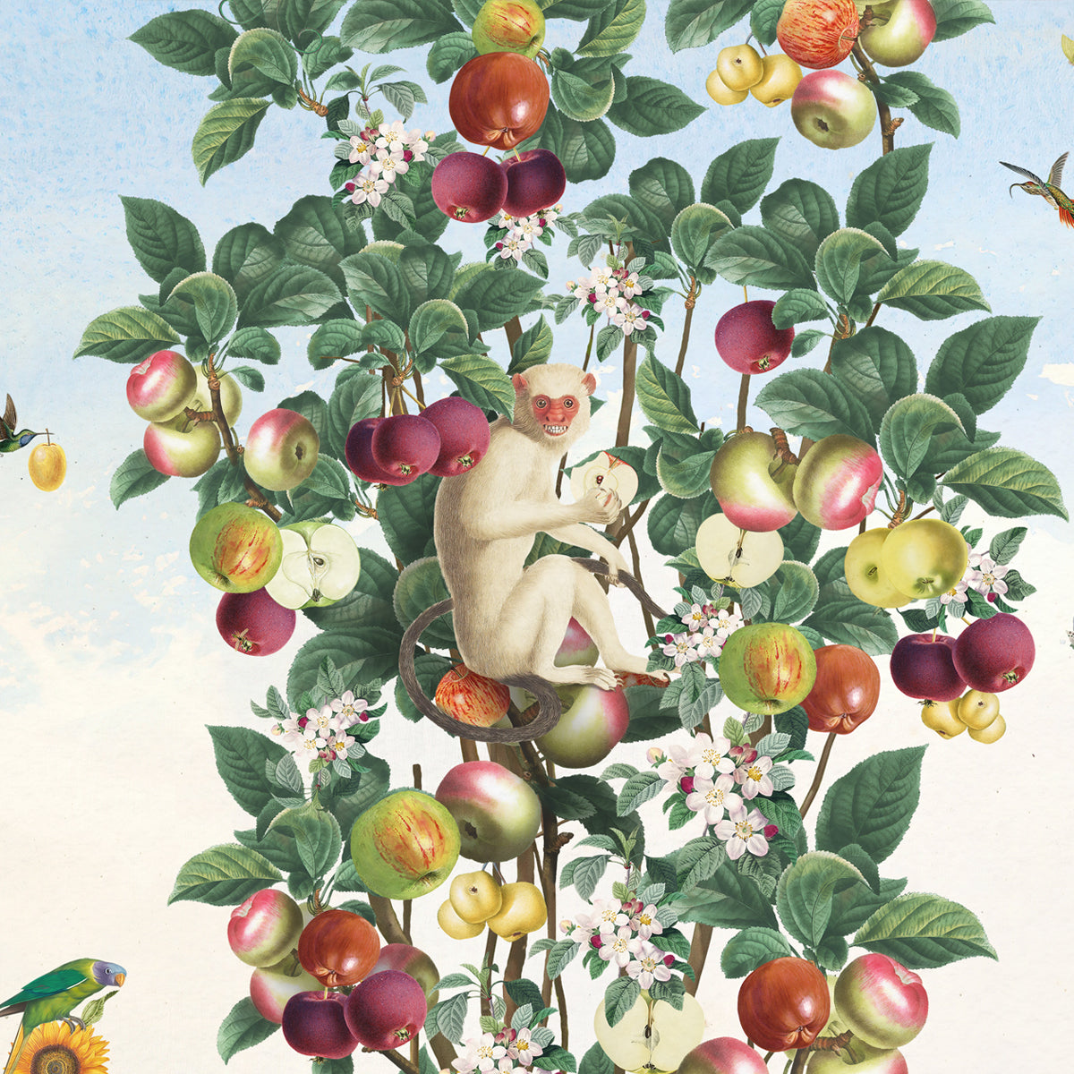 THE ORCHARD
