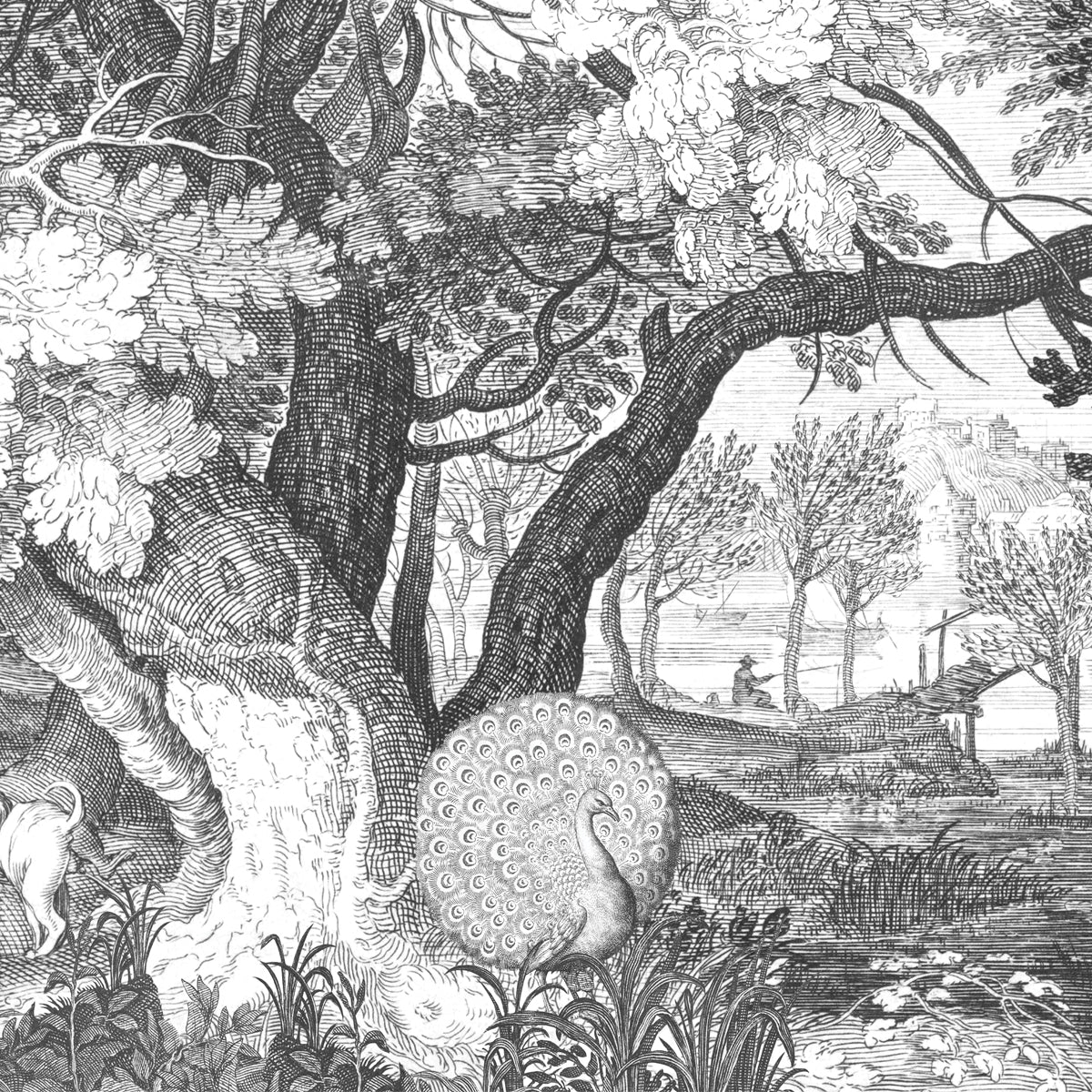 THE FOREST