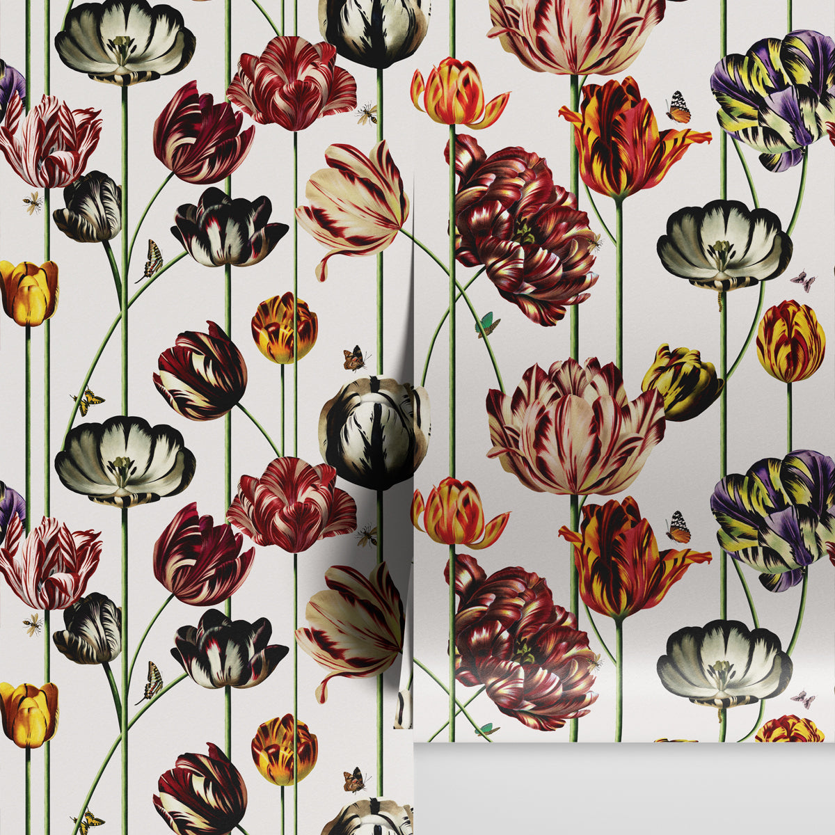 TULIPA