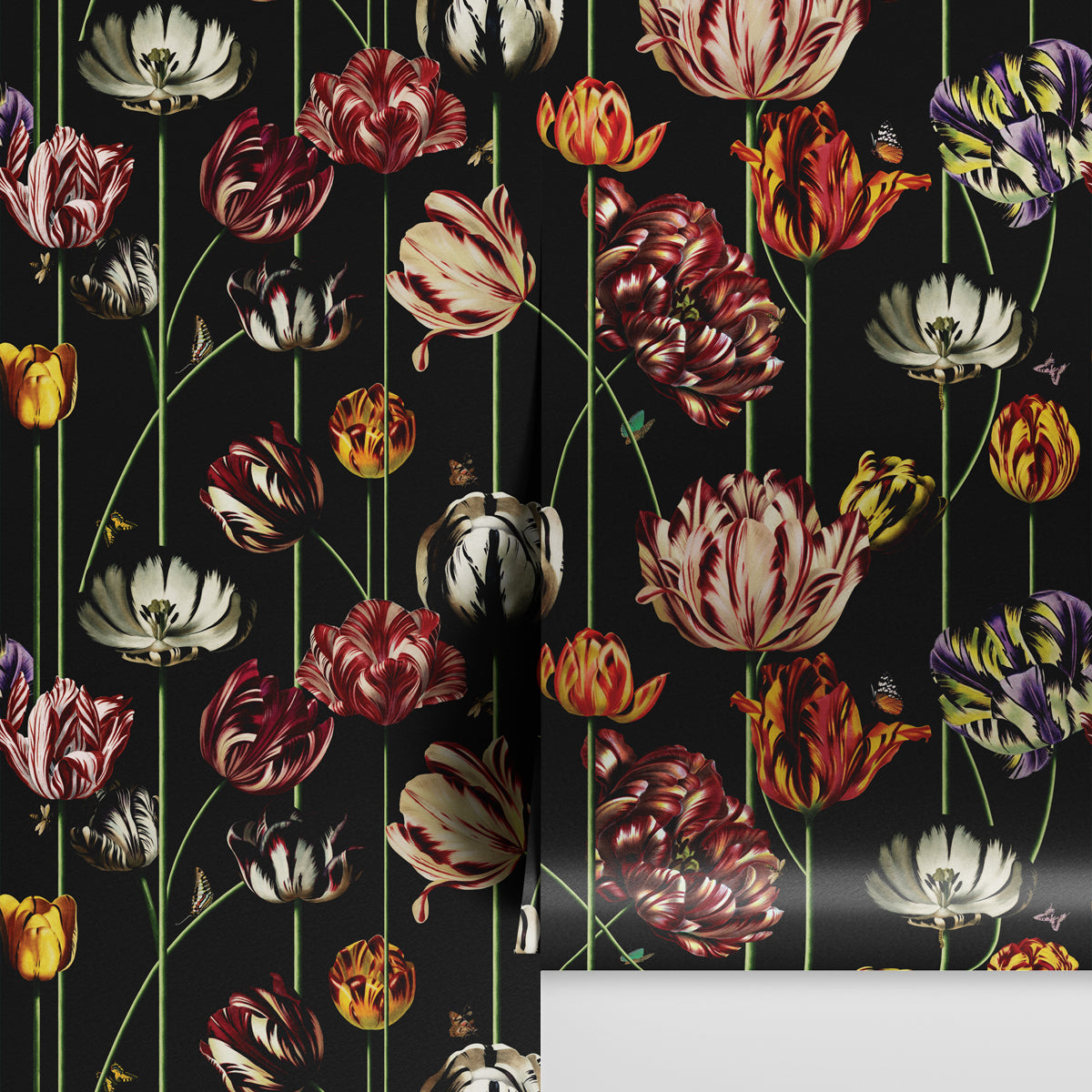 TULIPA