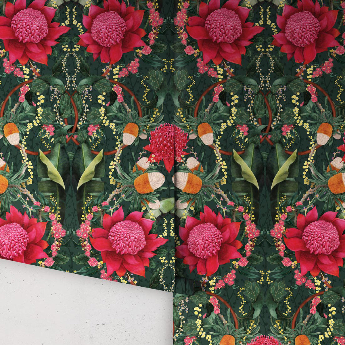 WARATAH MEDLEY